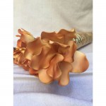 ΛΟΥΛΟΥΔΙ ΠΟΡΤΟΚΑΛΙ FOAM