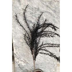 ΚΛΑΔΙ ΜΑΥΡΑ ΦΥΛΛΑ  FOAM 110ΕΚ