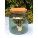 JUNGLE ZEBRA ΠΡΑΣΙΝΟ ΔΟΧΕΙΟ ΜΕ ΚΑΠΑΚΙ 635ML 10X11EK. ESPIEL