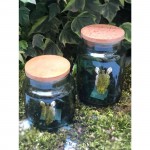JUNGLE ZEBRA ΠΡΑΣΙΝΟ ΔΟΧΕΙΟ ΜΕ ΚΑΠΑΚΙ 635ML 10X11EK. ESPIEL