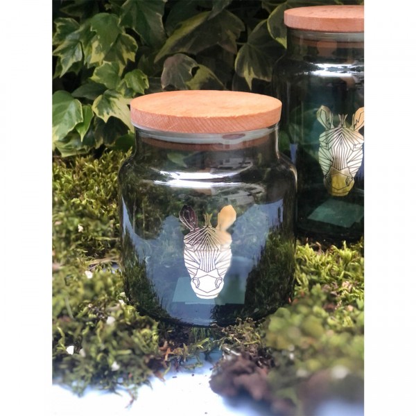 JUNGLE ZEBRA ΠΡΑΣΙΝΟ ΔΟΧΕΙΟ ΜΕ ΚΑΠΑΚΙ 635ML 10X11EK. ESPIEL
